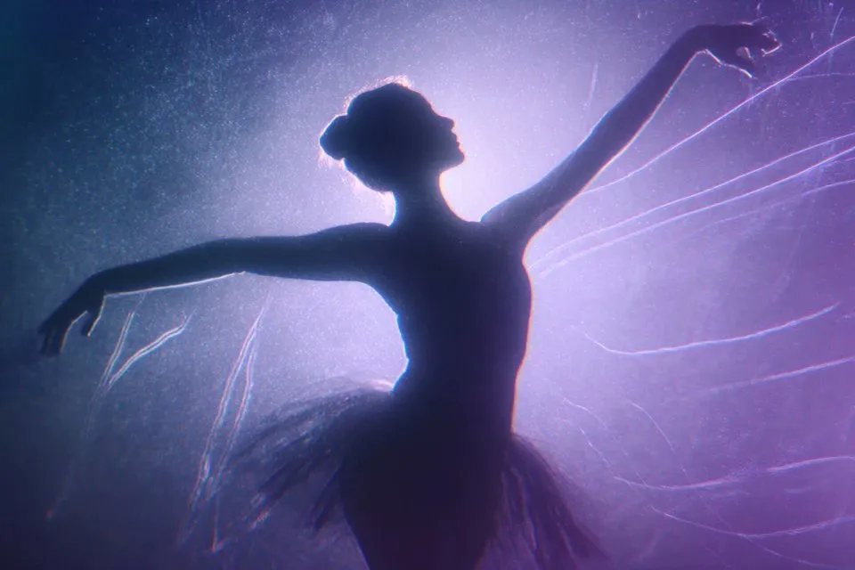 Silhouette Photography example 2